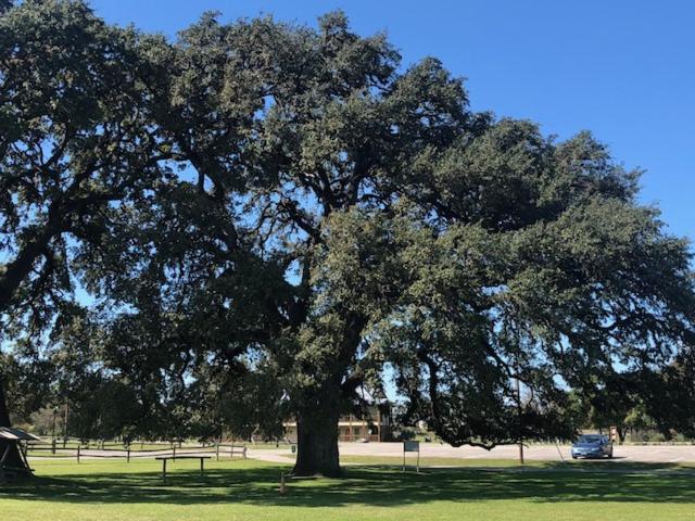 Flying L Ranch & Golf Course 3* Bandera