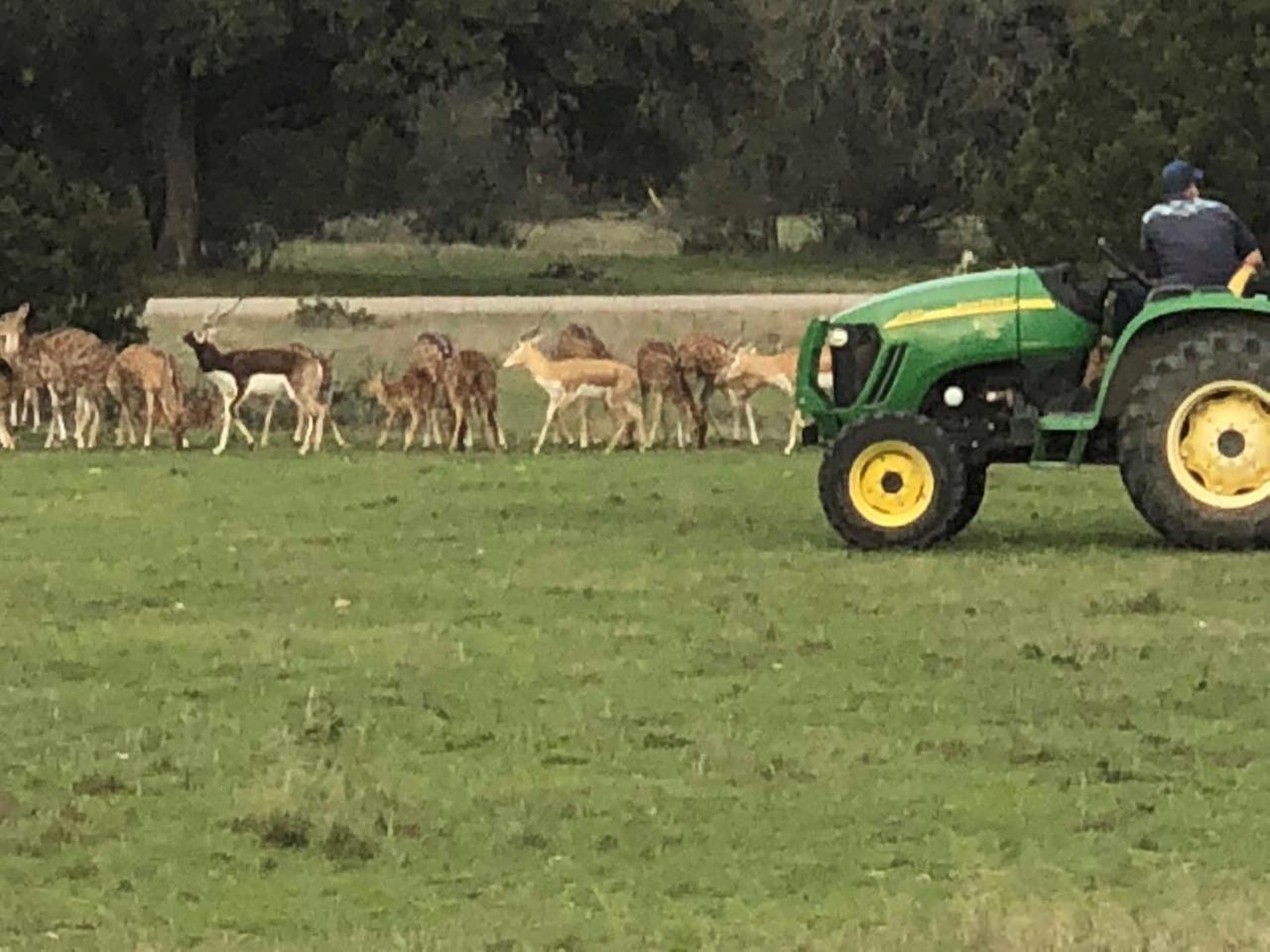 Flying L Ranch & Golf Course Station touristique Bandera